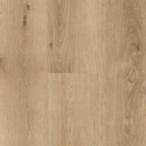 Hybrid SPC 8mm Chicory